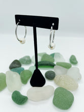 Load image into Gallery viewer, Cultured Pearls on Stainless Steel Hoops