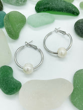 Load image into Gallery viewer, Cultured Pearls on Stainless Steel Hoops